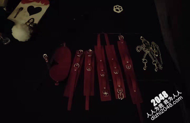 [自拍] 離異熟女徹底放開心扉，做母狗不再做人妻  (35P)